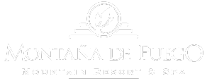 MDF-LOGOTIPO-2019-BLANCO